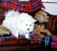 Milou mon Chouchou